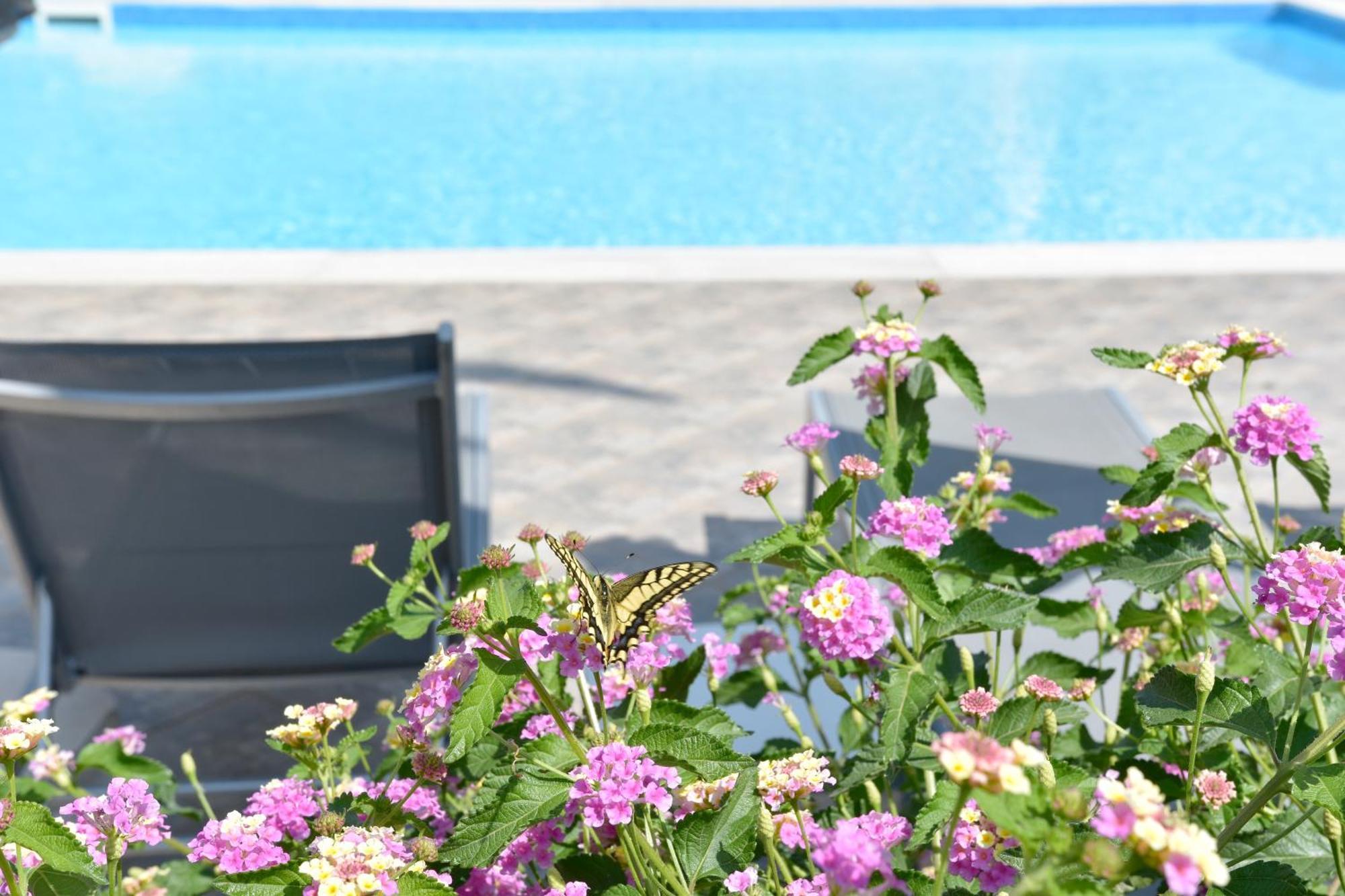 Emporios Bay Chios Ξενοδοχείο με διαμερίσματα Εμπορειός